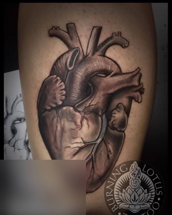 Black and grey anatomical heart