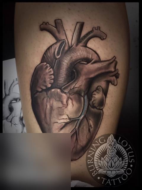 Black and grey anatomical heart