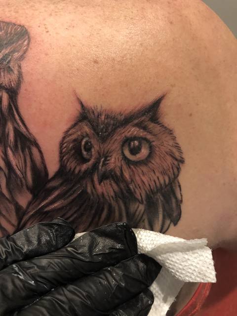 Black and grey owl on a shoulder